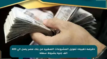 «فرصة ذهبية» تمويل المشروعات الصغيرة من بنك مصر يصل إلى 400 ألف جنيه بشروط سهلة